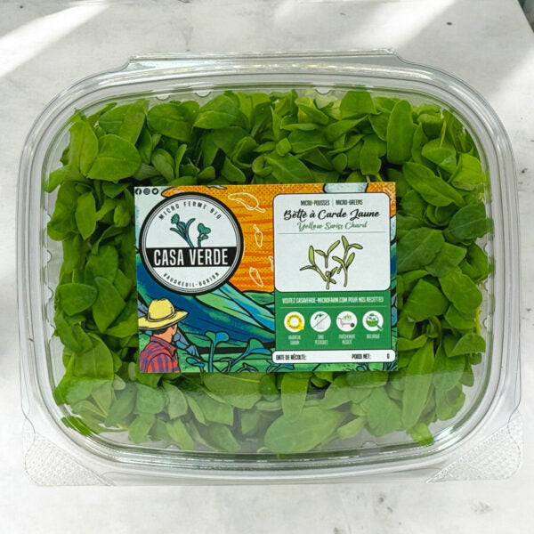 Micropousses de Bette à carde jaune, détail 3